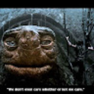 Meet your Posher, Chloe